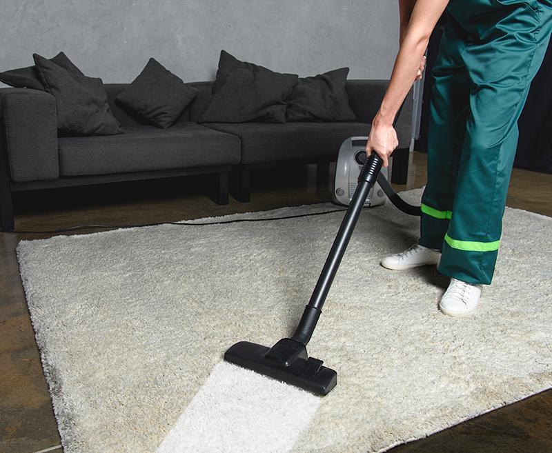 cropped shot of person using vacuum cleaner while cleaning white